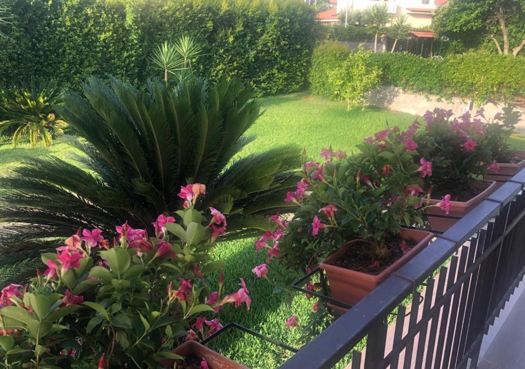 Photo of Others in Lamezia Terme
