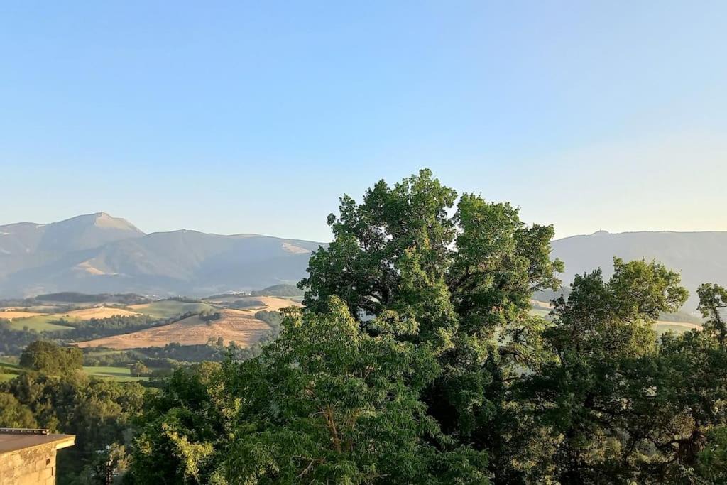 Photo of Outdoor in Cagli