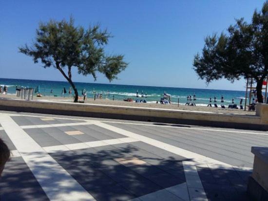 Photo of Others in Pietrapaola