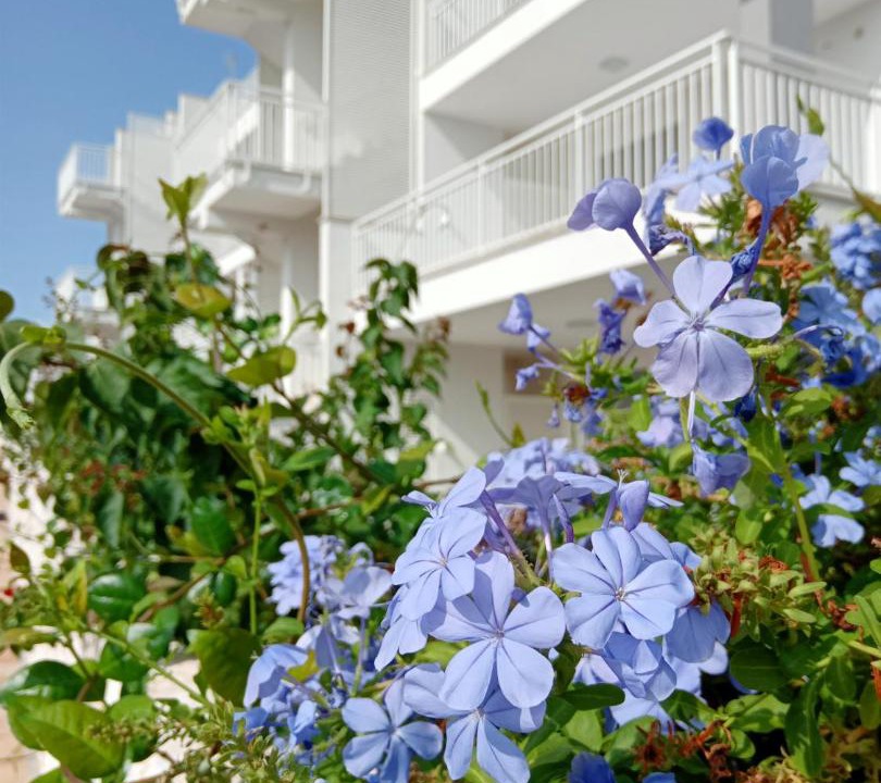 Photo of Patio Balcony in Capitolo