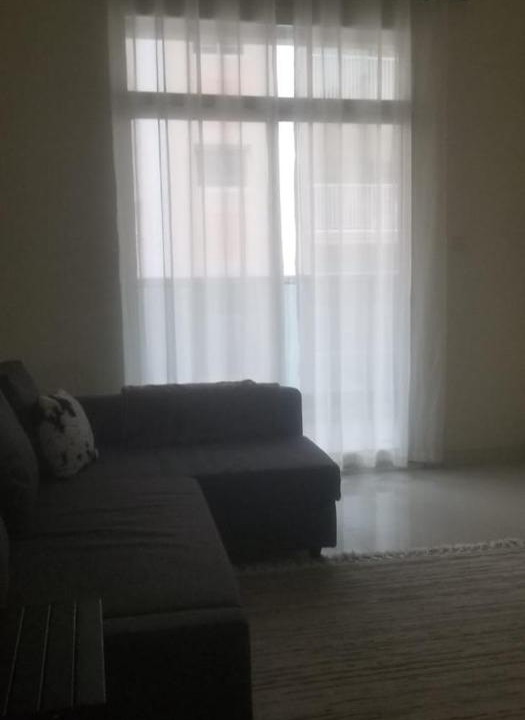 Photo of Others in Dubai