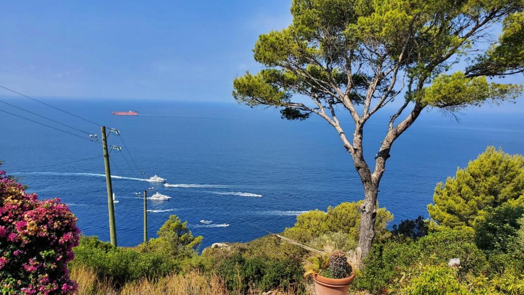 Photo of Others in Anacapri