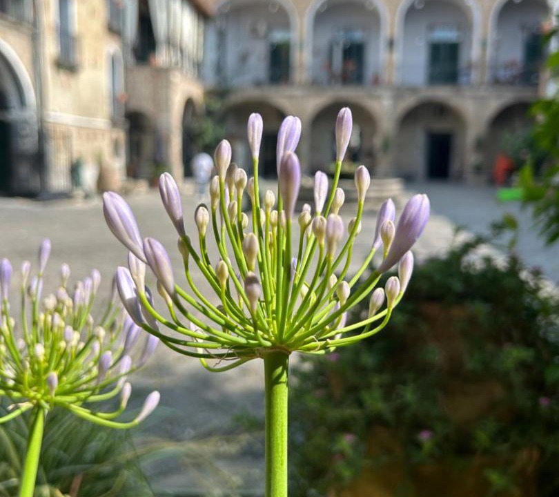 Photo of Others in Caivano