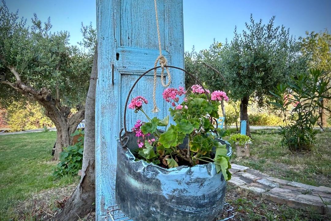 Photo of Others in Atessa