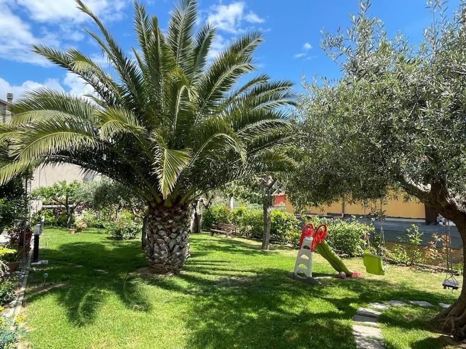 Photo of Outdoor in Passignano sul Trasimeno