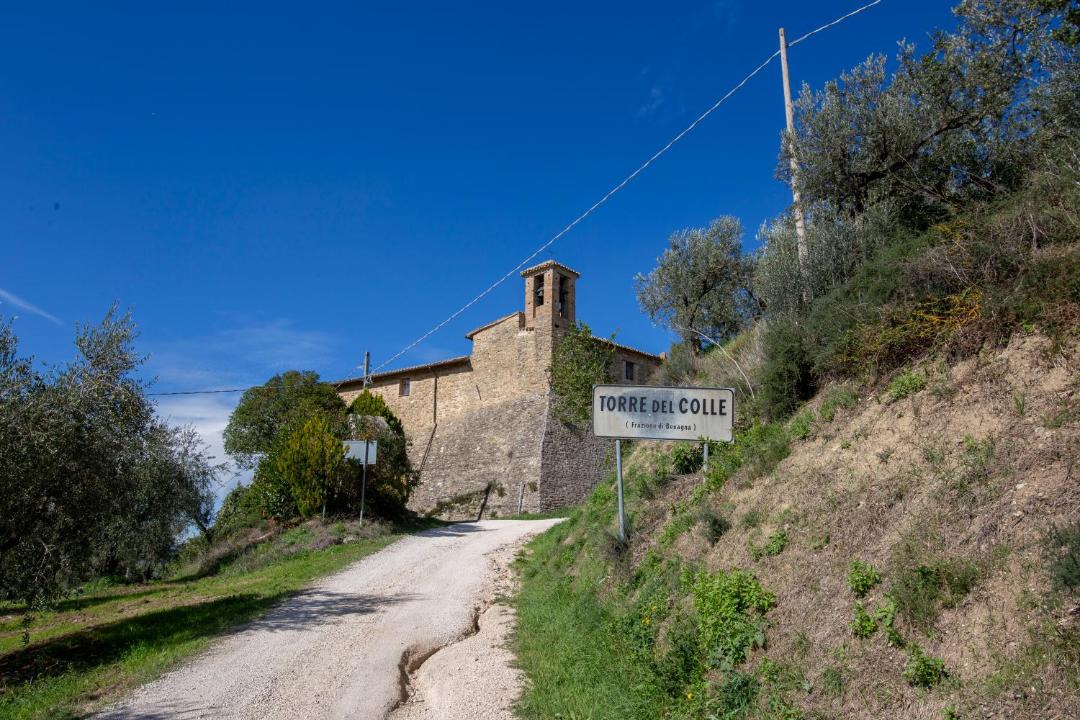 Photo of Others in Torre del Colle