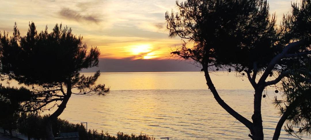 Photo of Others in Vico del Gargano