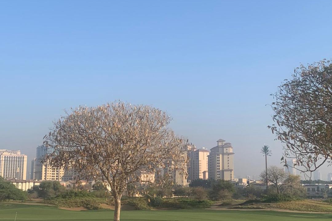 Photo of Others in Dubai