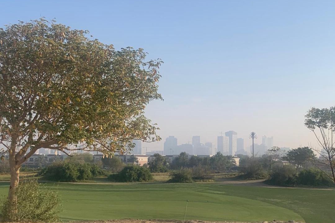 Photo of Others in Dubai