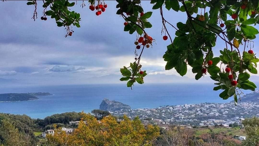Photo of Outdoor in Barano d'Ischia