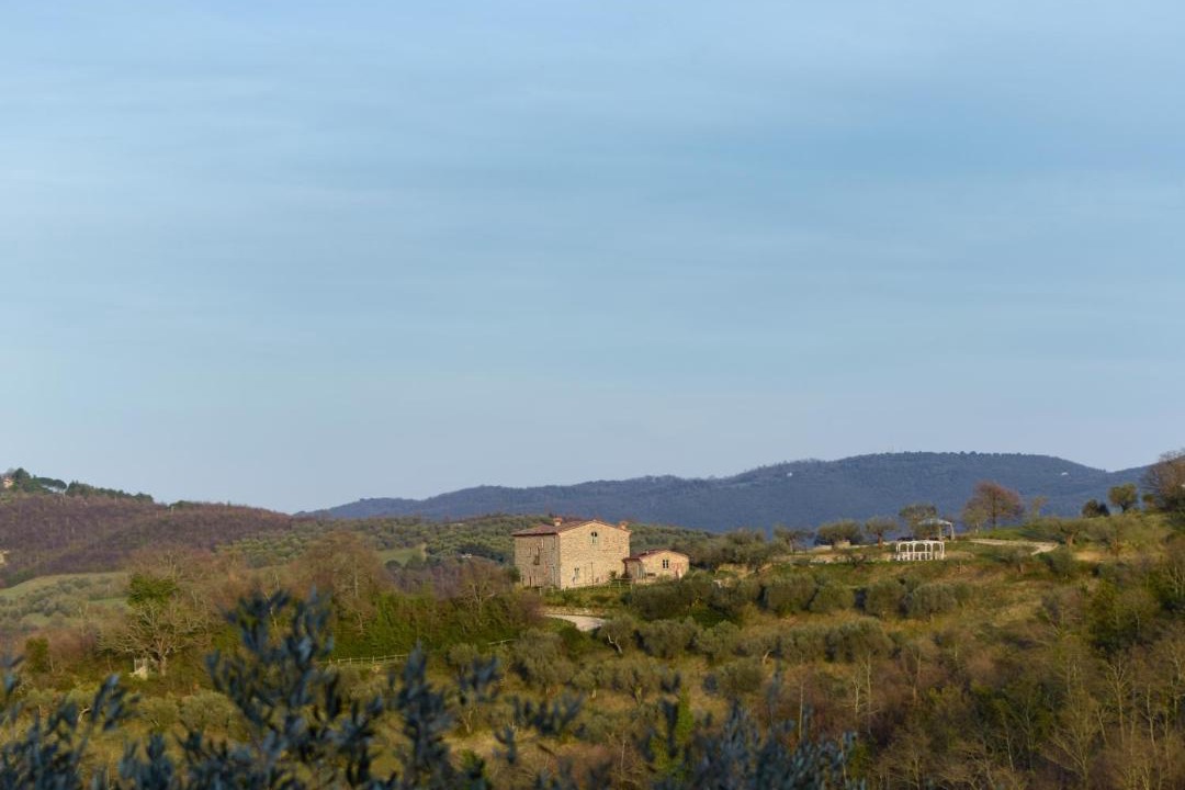 Photo of Others in Magione