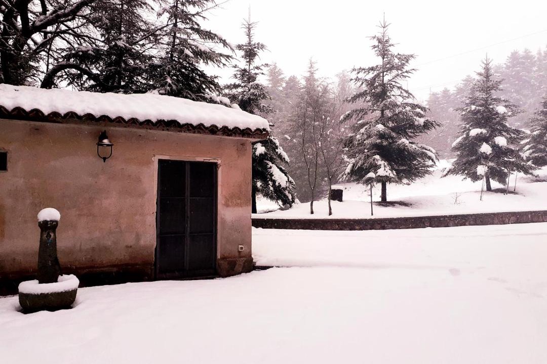 Photo of Buildings in Morano Calabro