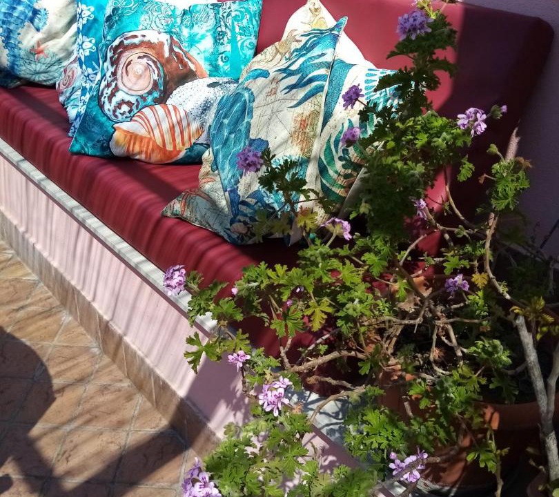 Photo of Others in Pozzuoli