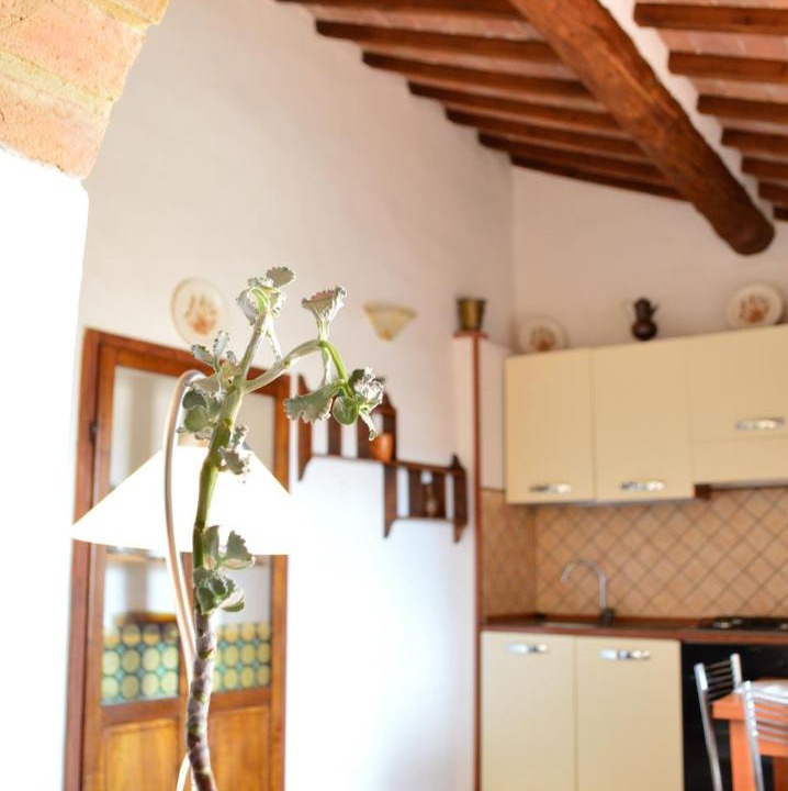 Photo of Others in Montepulciano