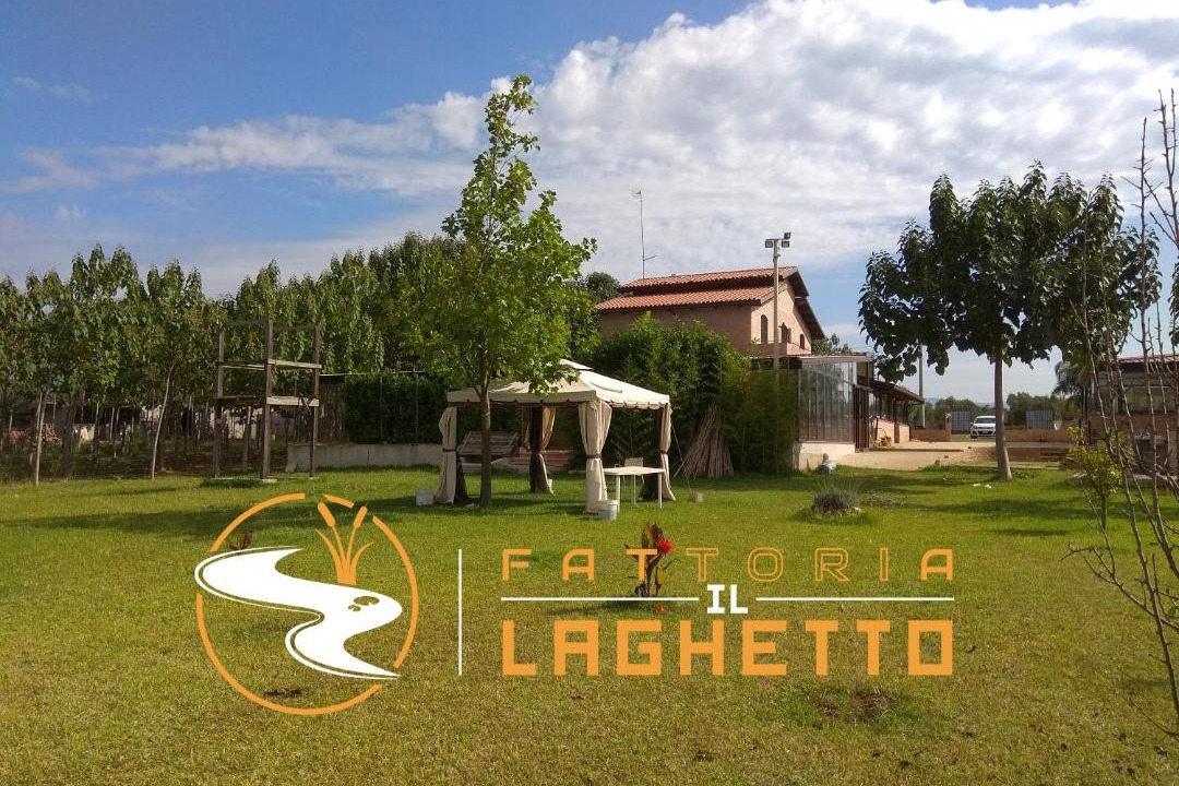 Photo of Others in Lamezia Terme