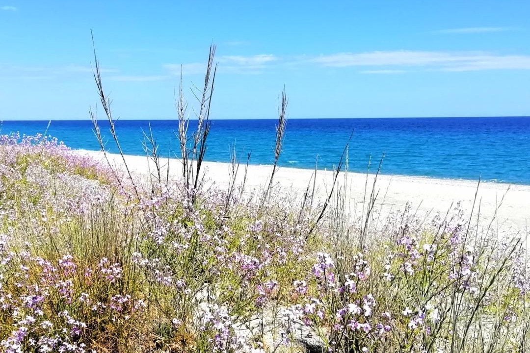Photo of Outdoor in Foca