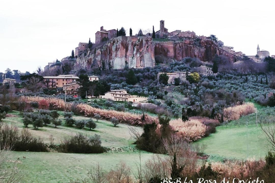 Photo of Others in Sferracavallo