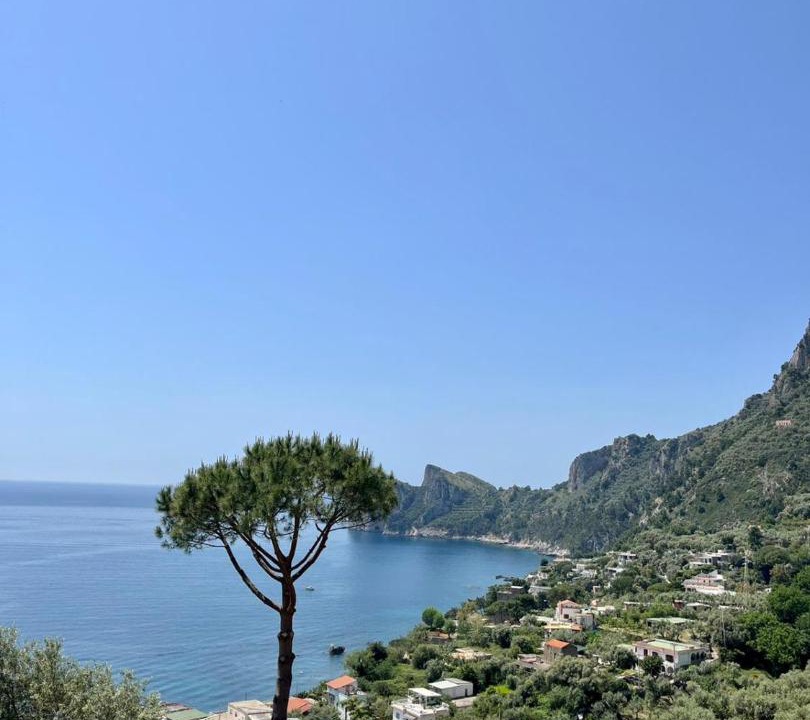 Photo of Others in Nerano
