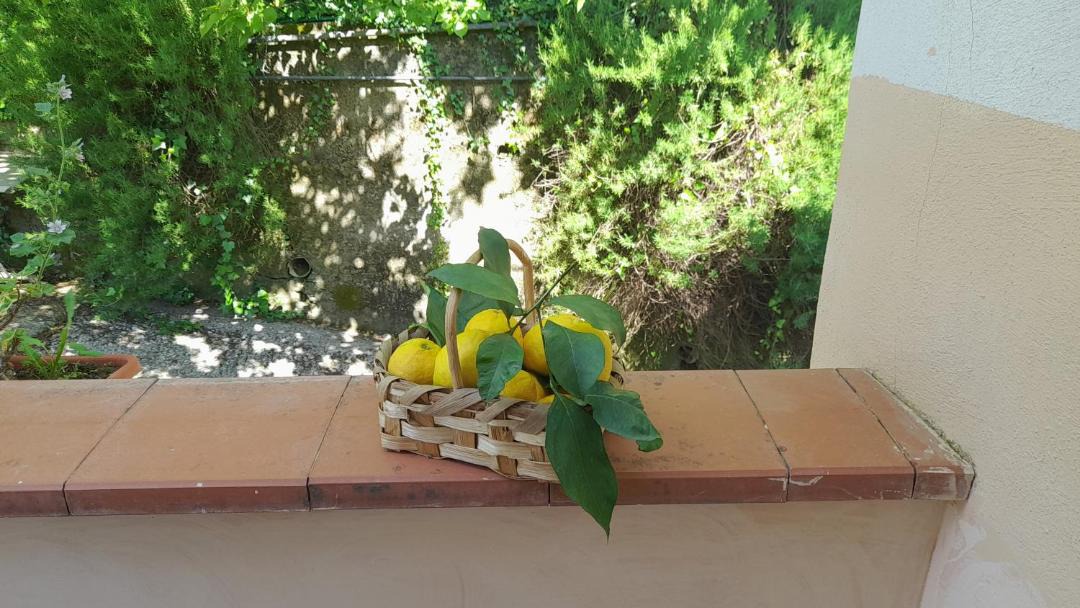 Photo of Patio Balcony in Pucara