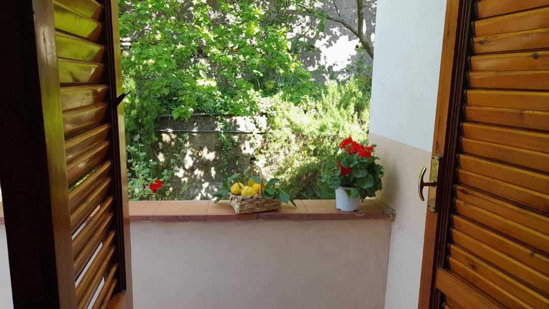 Photo of Patio Balcony in Pucara