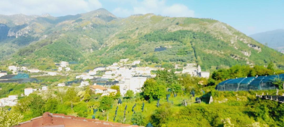 Photo of Others in Pucara
