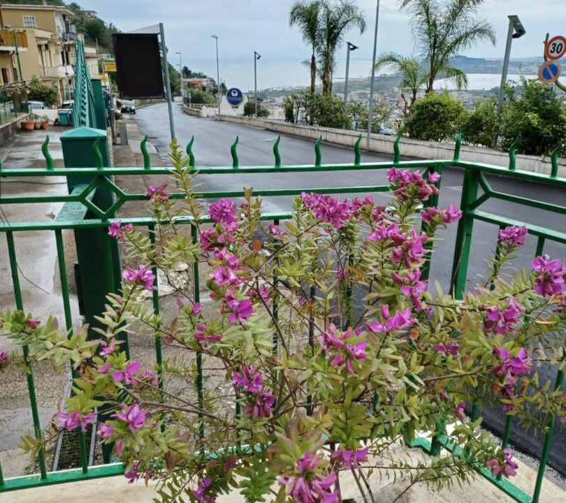 Photo of Others in Monte di Procida