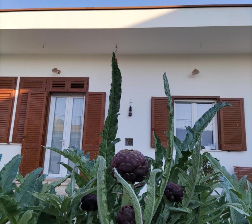 Photo of Outdoor in Naples