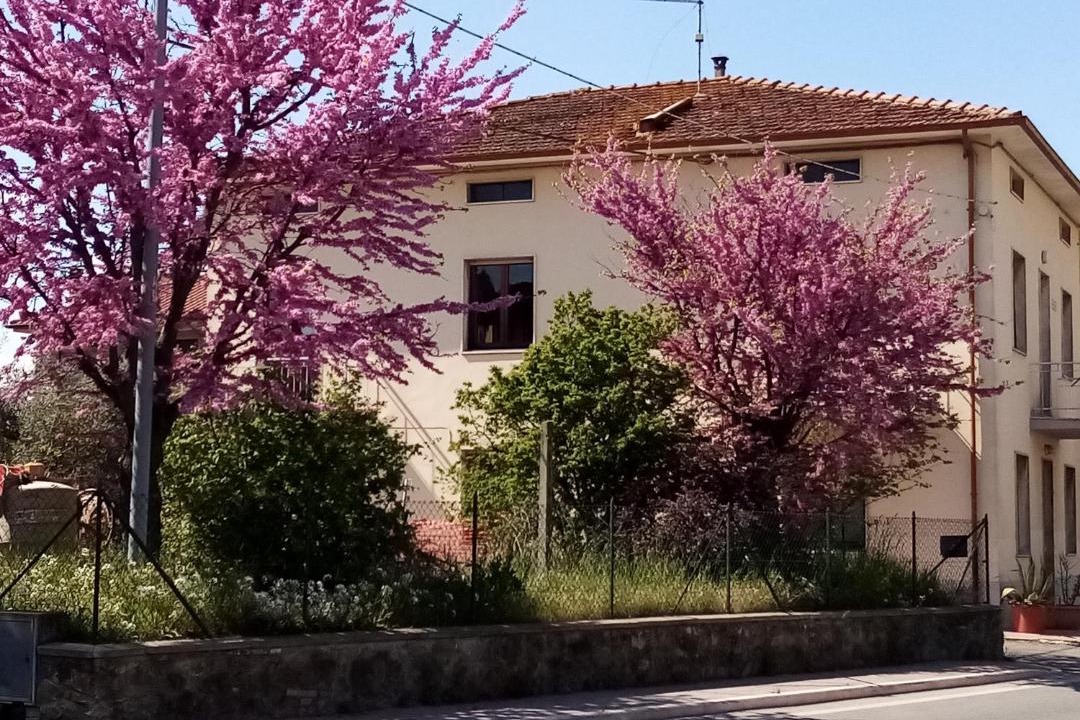 Photo of Buildings in Terontola