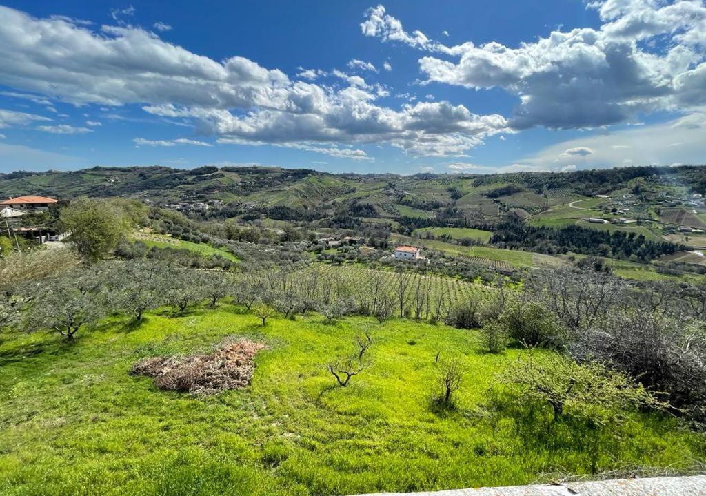 Photo of Others in Chieti