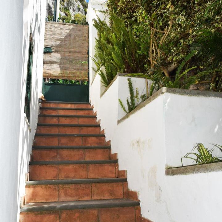 Photo of Others in Capri