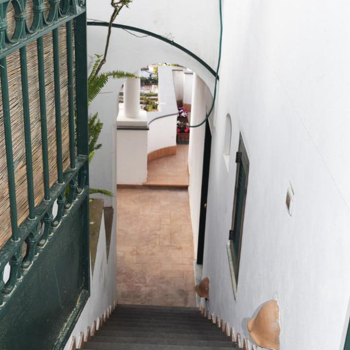Photo of Others in Capri
