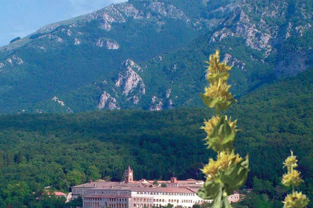 Photo of Outdoor in Collepardo