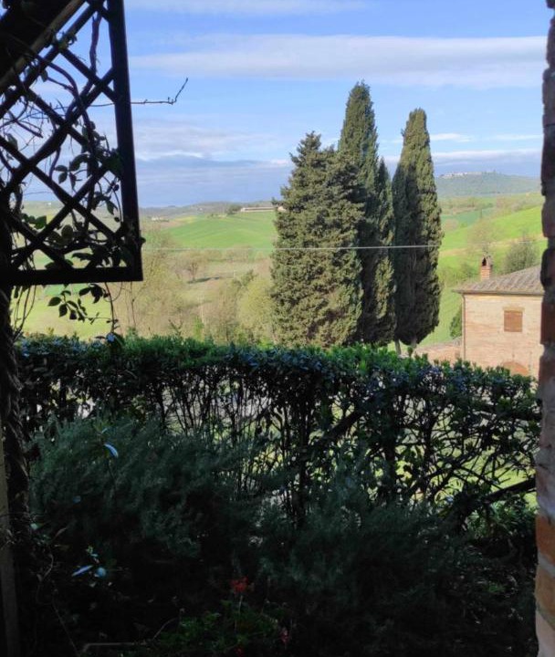 Photo of Others in Montepulciano
