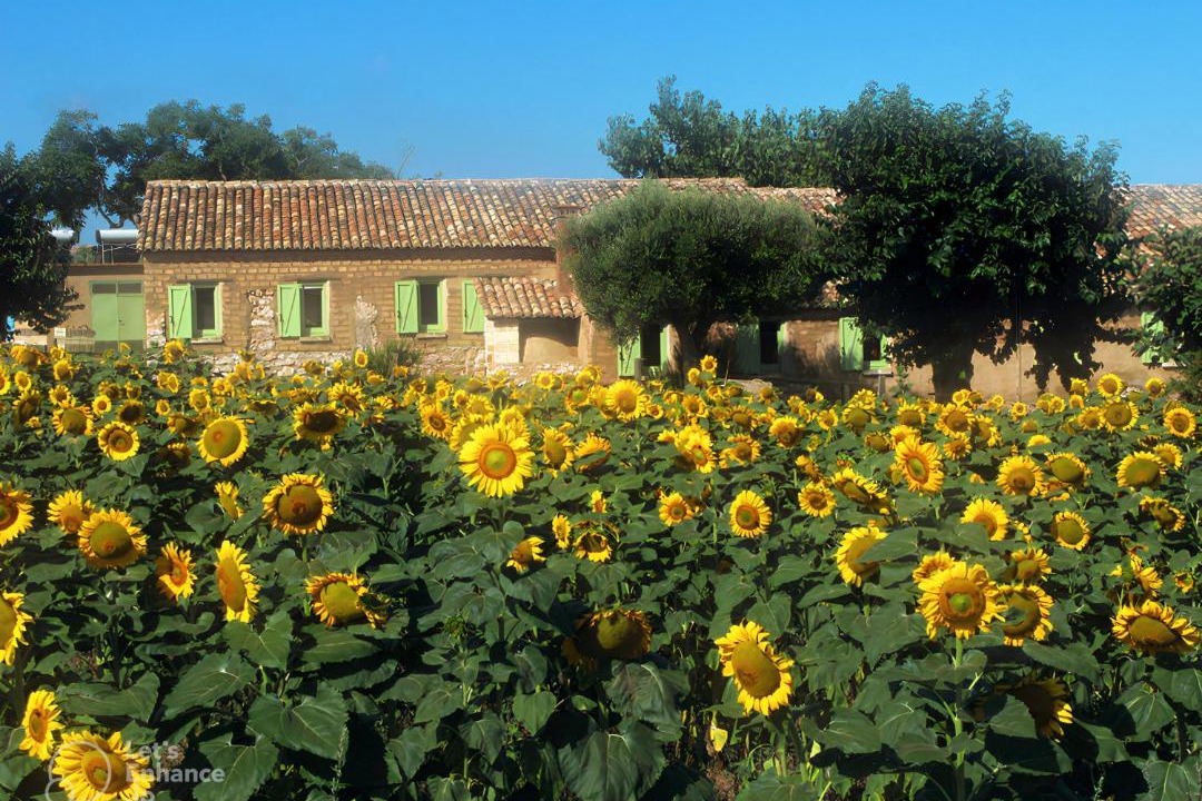 Photo of Others in Brattiro