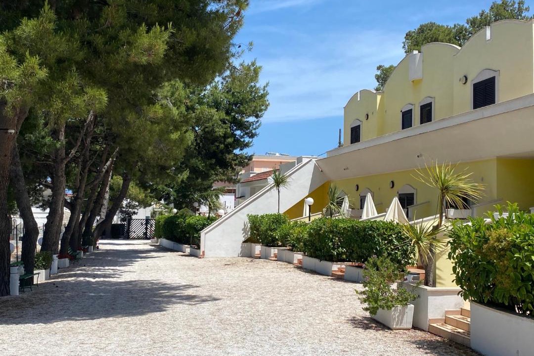 Photo of Buildings in Vieste