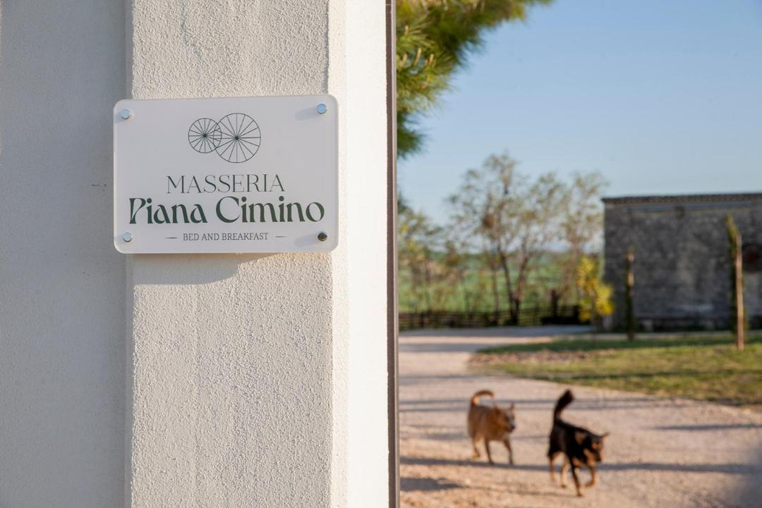 Photo of Others in Pietramontecorvino