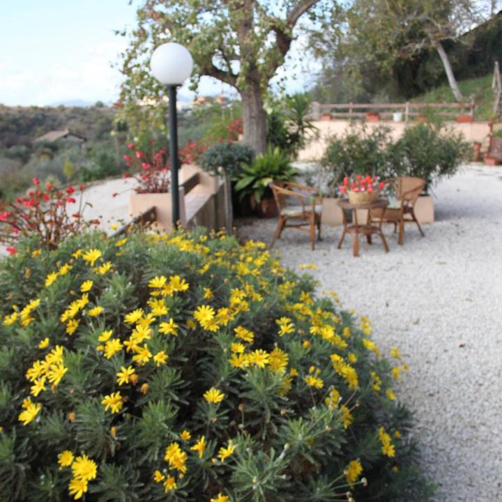 Photo of Outdoor in Veroli