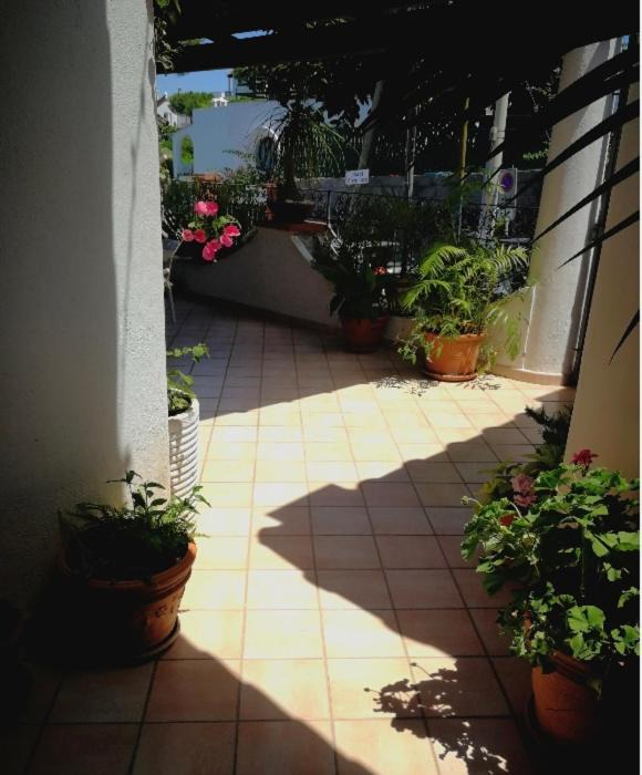 Photo of Patio Balcony in Ischia Porto