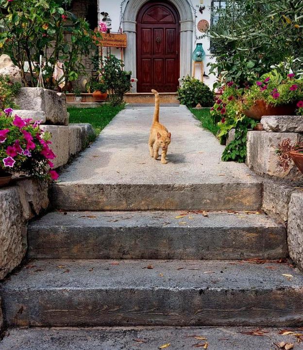 Photo of Others in Isernia