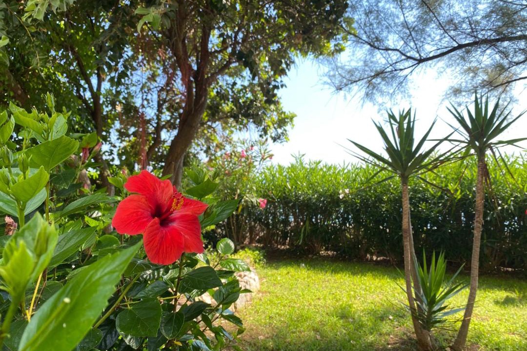 Photo of Others in Bonifati
