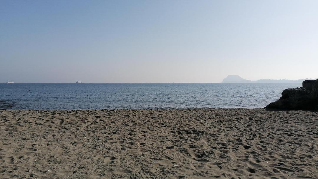 Photo of Outdoor in Licola