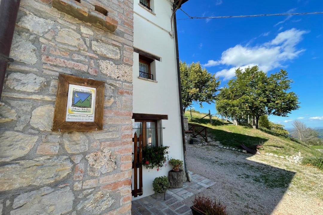 Photo of Others in Montemonaco