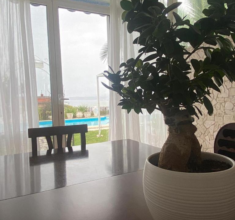 Photo of Livingroom in Ercolano