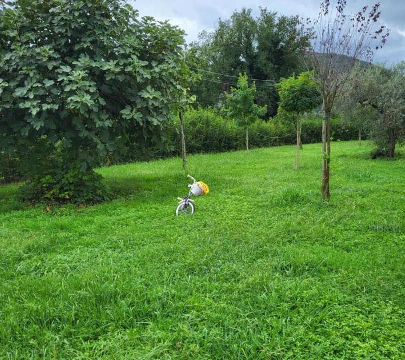 Photo of Outdoor in Caiazzo