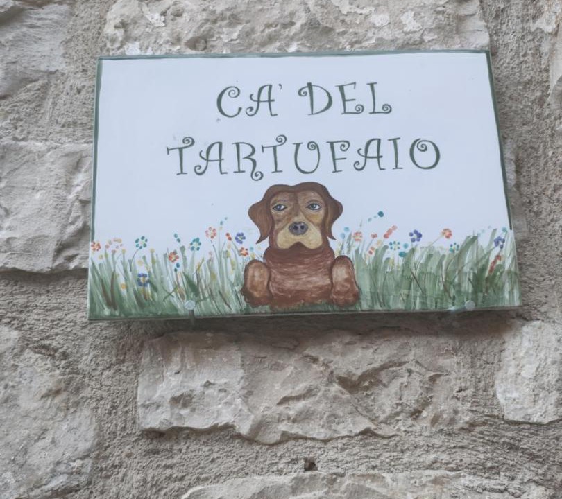 Photo of Others in Castelmauro