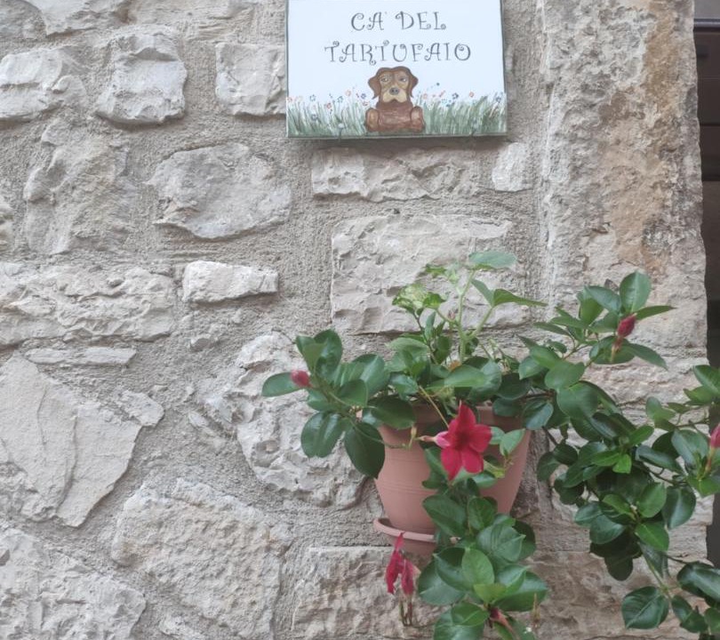 Photo of Others in Castelmauro