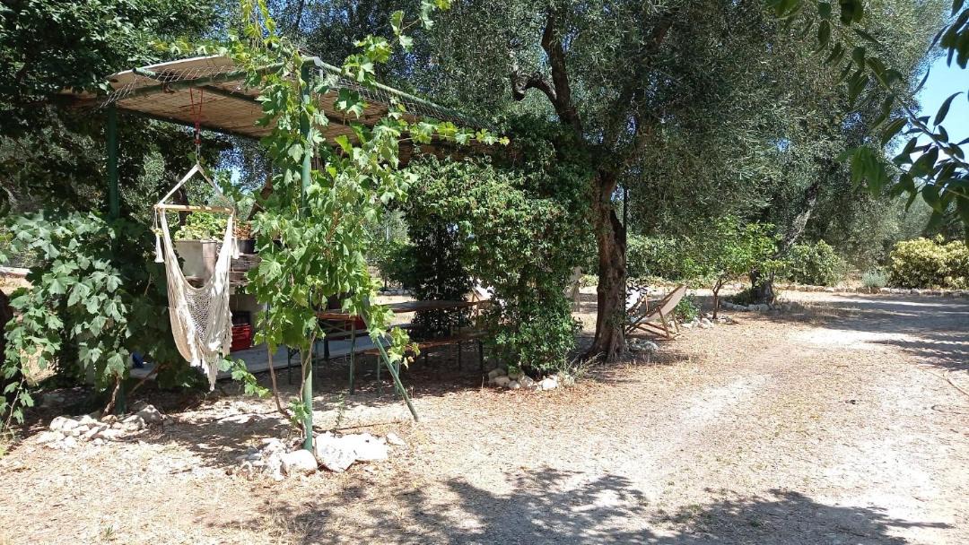 Photo of Others in Montincello