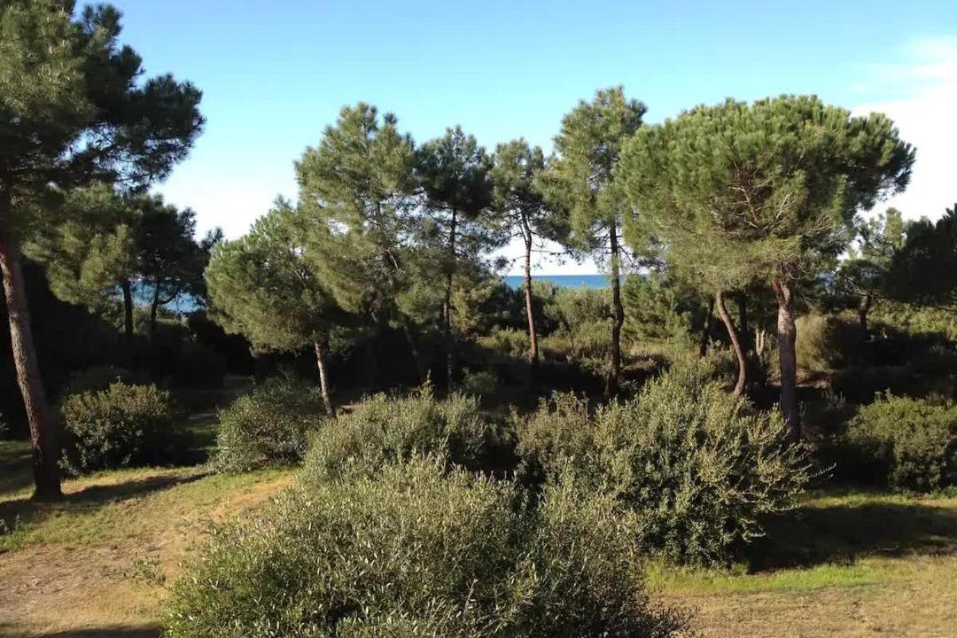Photo of Others in Marina di Grosseto