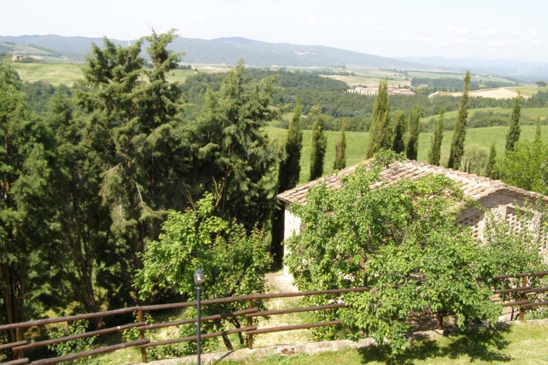 Photo of Others in Montalcino