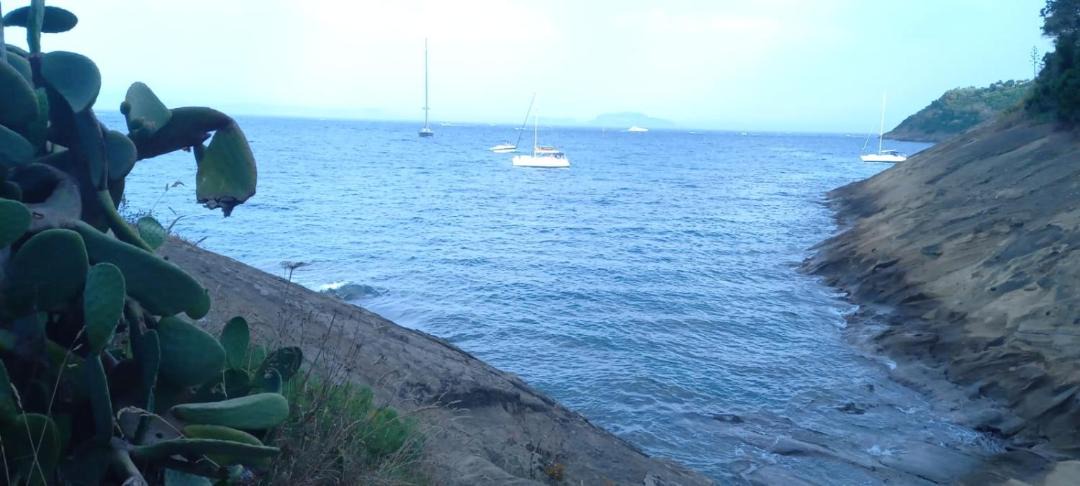 Photo of Others in Procida